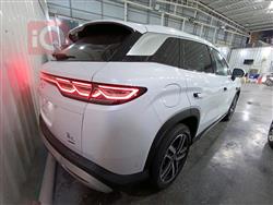 بي واي دي كوين L DM-i